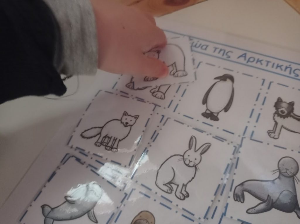 6+1 δραστηριότητες για να γνωρίσουν τα παιδιά, τα ζώα της Αρκτικής