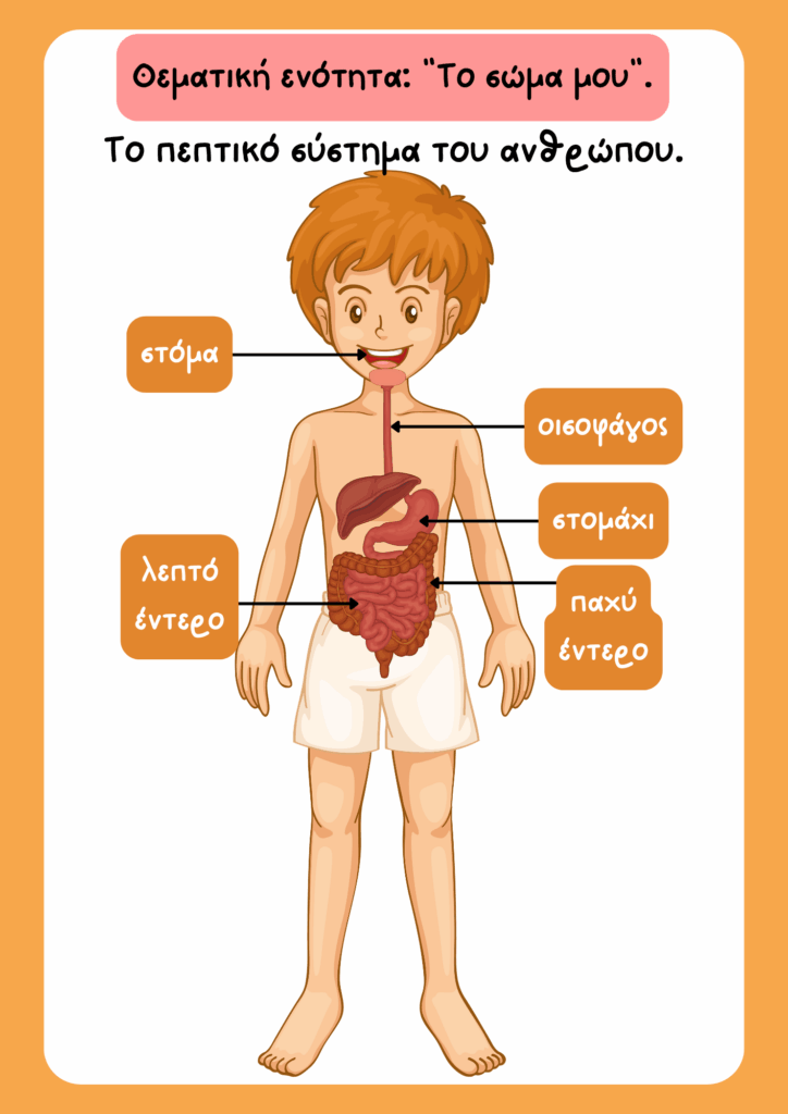 Θεματική ενότητα "Μαθαίνω το σώμα μου" για το Νηπιαγωγείο και τον Παιδικό Σταθμό